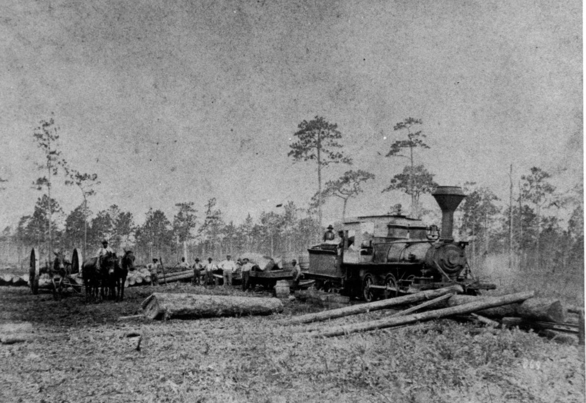 Neoga Saw Mill Train